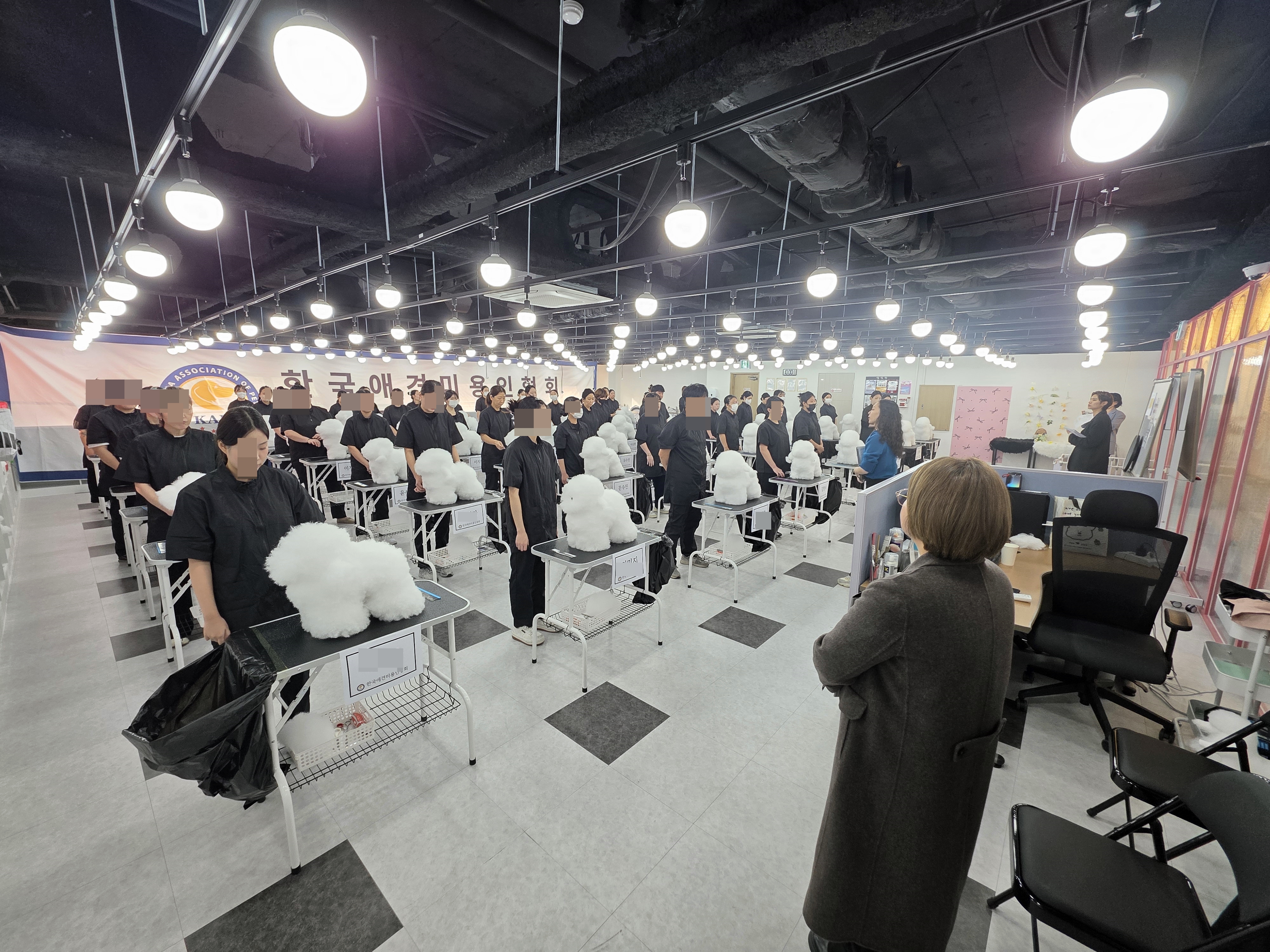 애견미용자격증시험