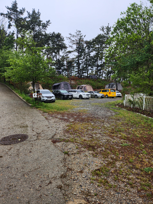 태안별빛캠핑장 B구역