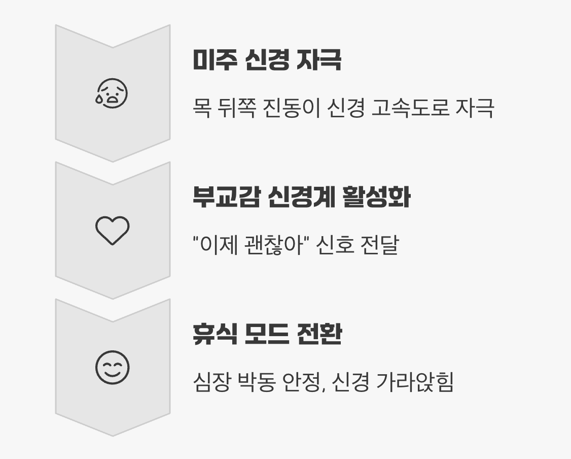 몸의 '휴식 스위치'를 켜는 과학