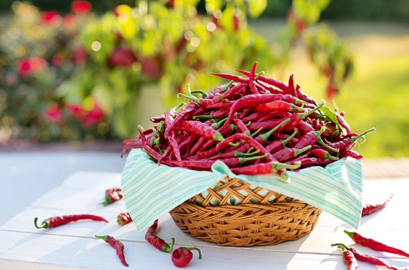 체내 체지방이 쌓이지 않는 음식