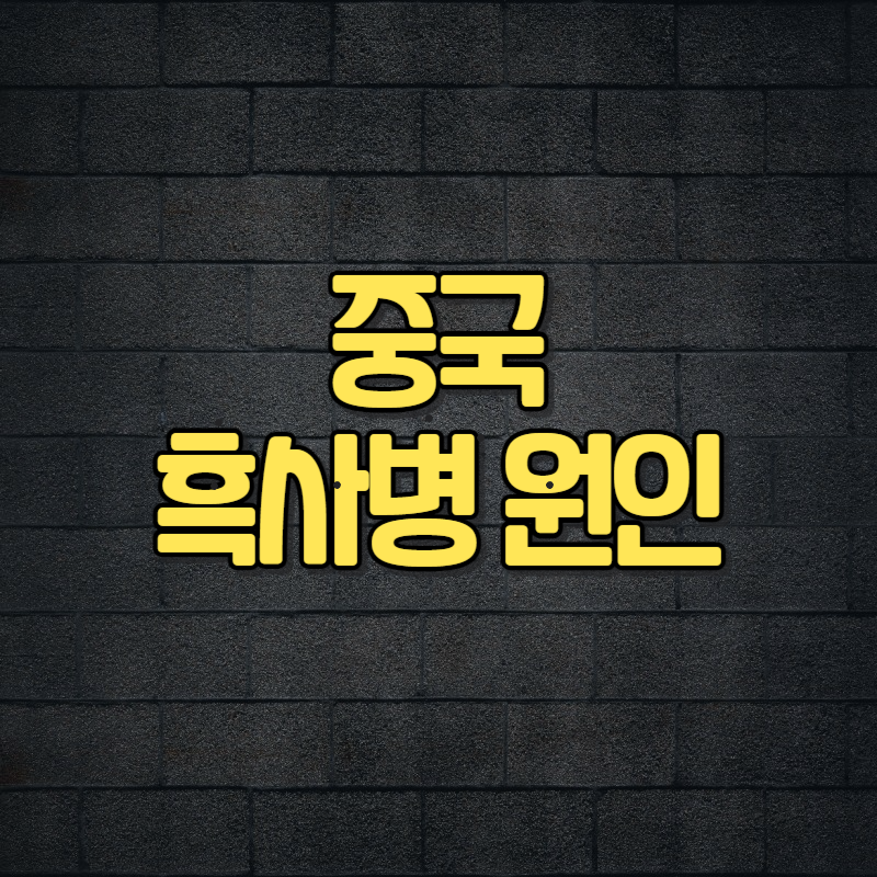 중국 흑사병 원인