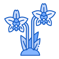 난나라 직거래 장터