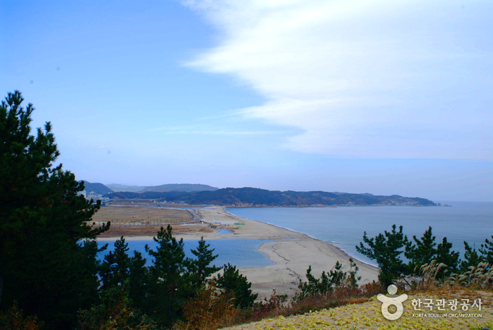 언덕아래로 바다와 모래 해변이 보인다.