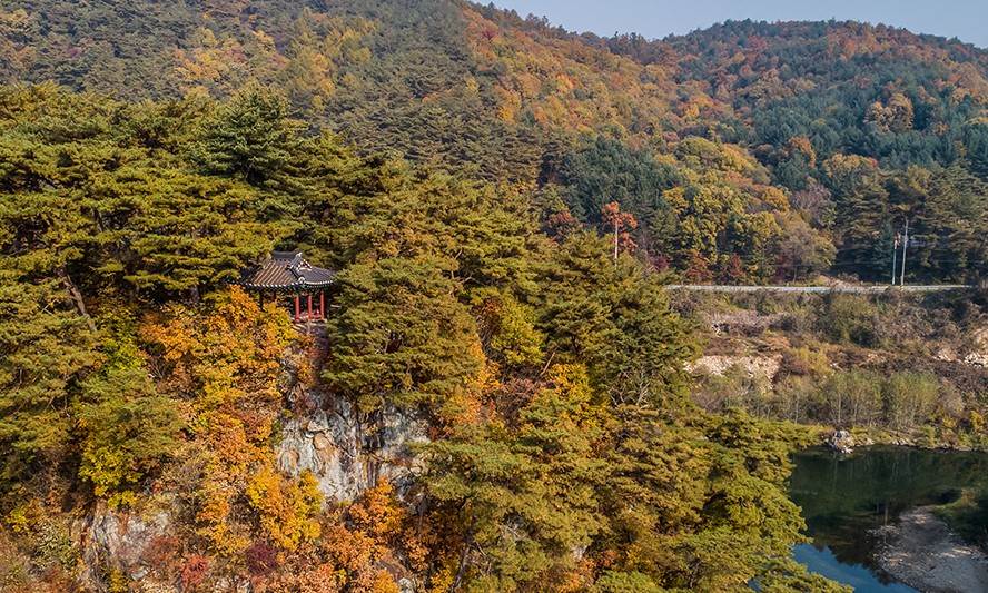 제천시 경제활력지원금 20만원 신청방법