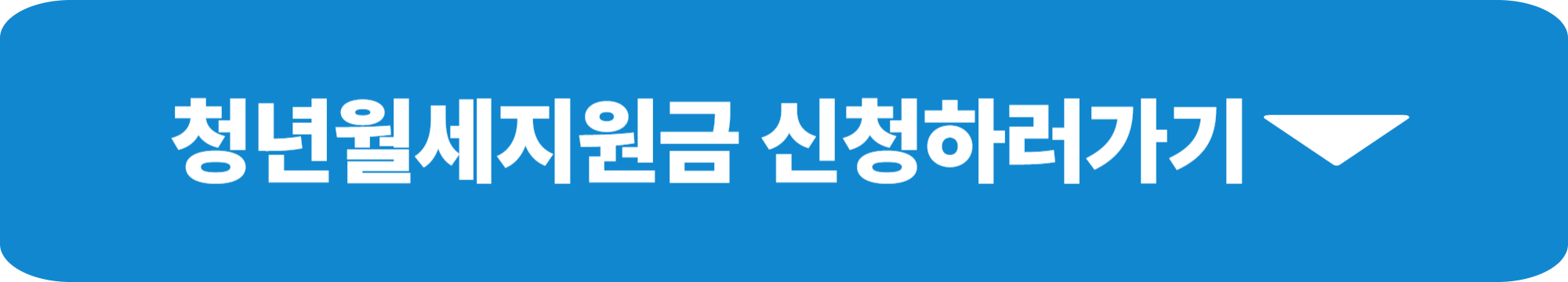 2025 청년월세지원금