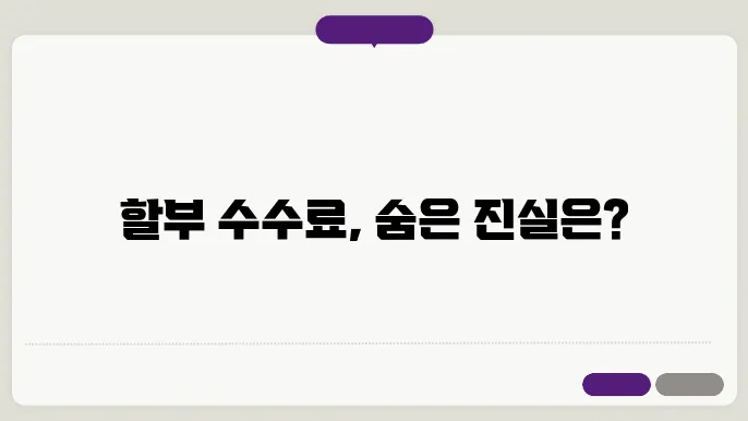 여러 할부 옵션 분석