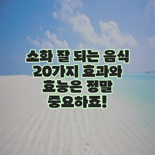 소화 잘 되는 음식 20가지 효과와 효능은 정말 중요하죠!