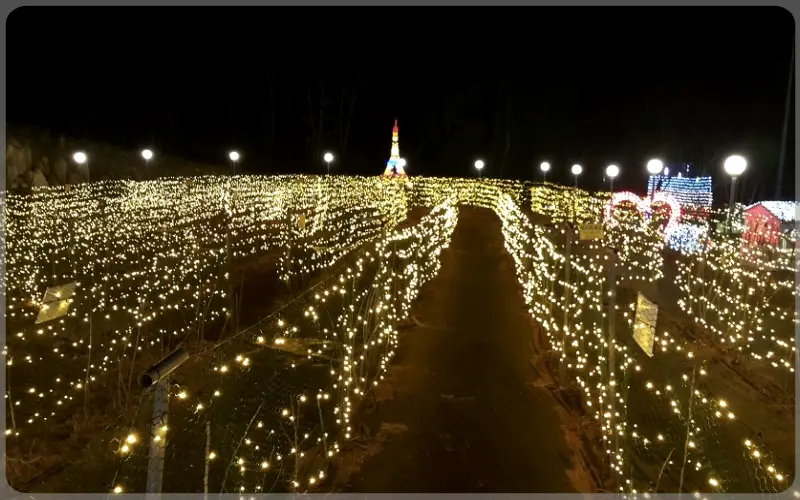 고니골 빛축제_8