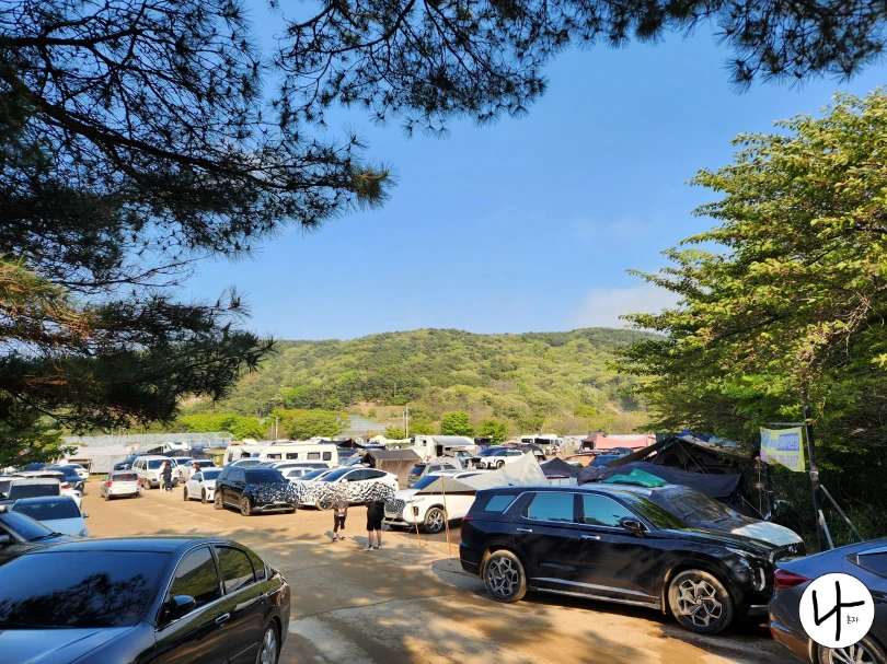 여러-차들이-주차된-캠핑장