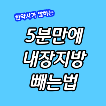 내장지방빼는법