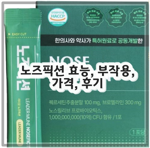 노즈픽션 효능, 부작용, 가격, 후기