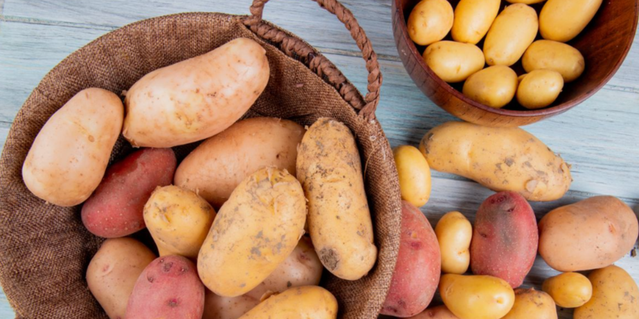 1.감자와 고구마