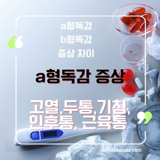 a형독감 b형독감 증상 차이 격리기간