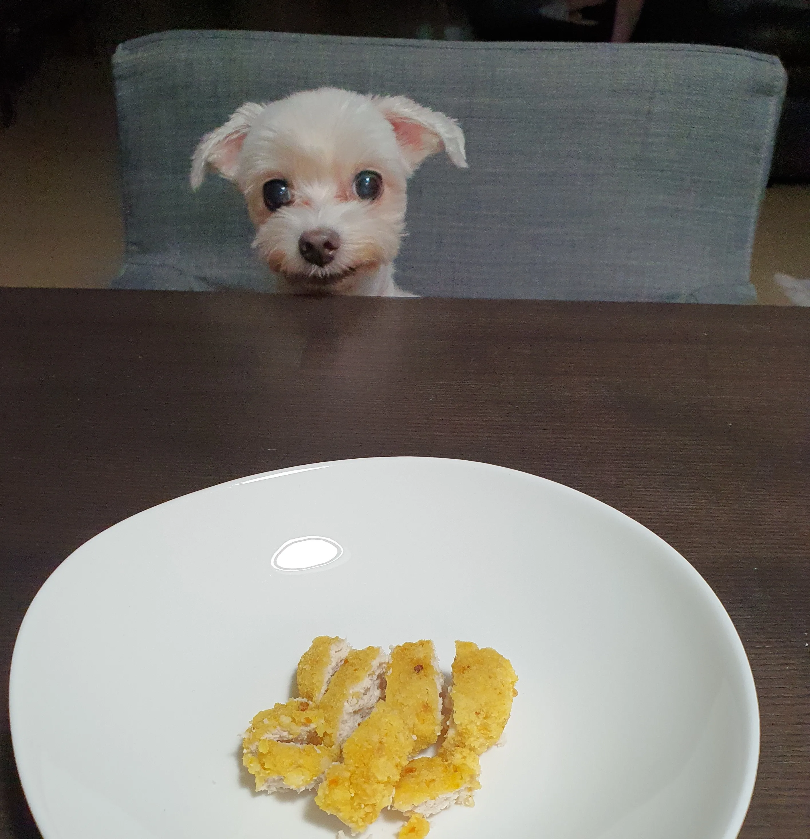 수도법 개정