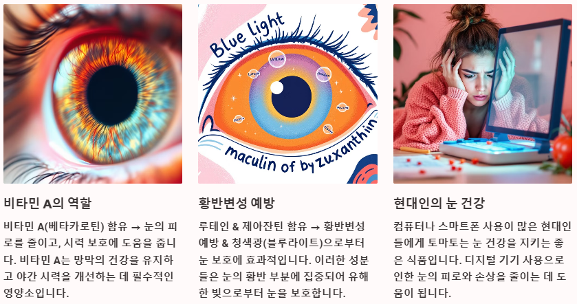 눈건강보호 시력개선