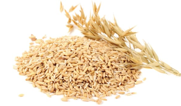 간경화에 좋은 음식 10가지