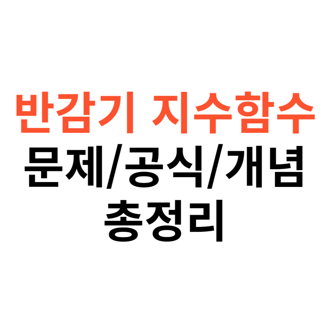 반감기 지수함수
