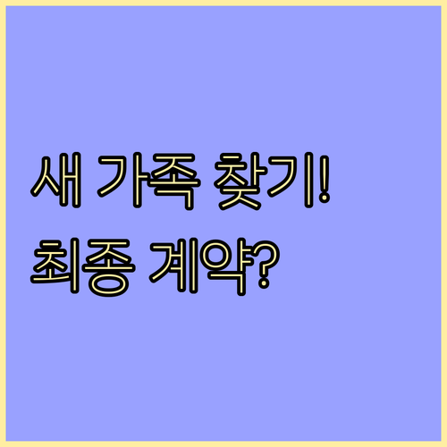 보호소 유기견 입양 공고 확인부터 최..