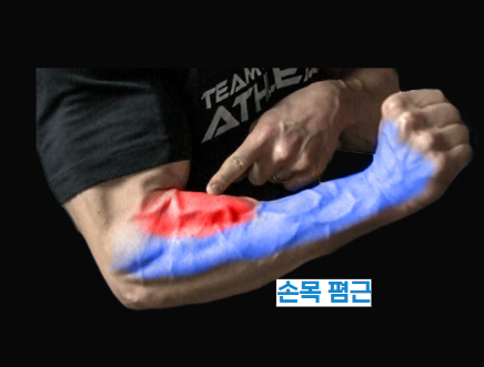 신전근 