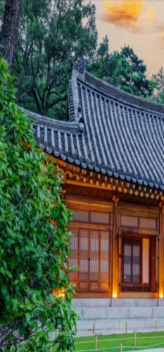 청와대1