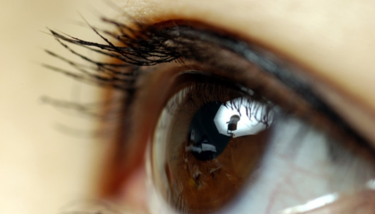 차전자피 효능 먹는법 부작용 (2주 섭취 후기)