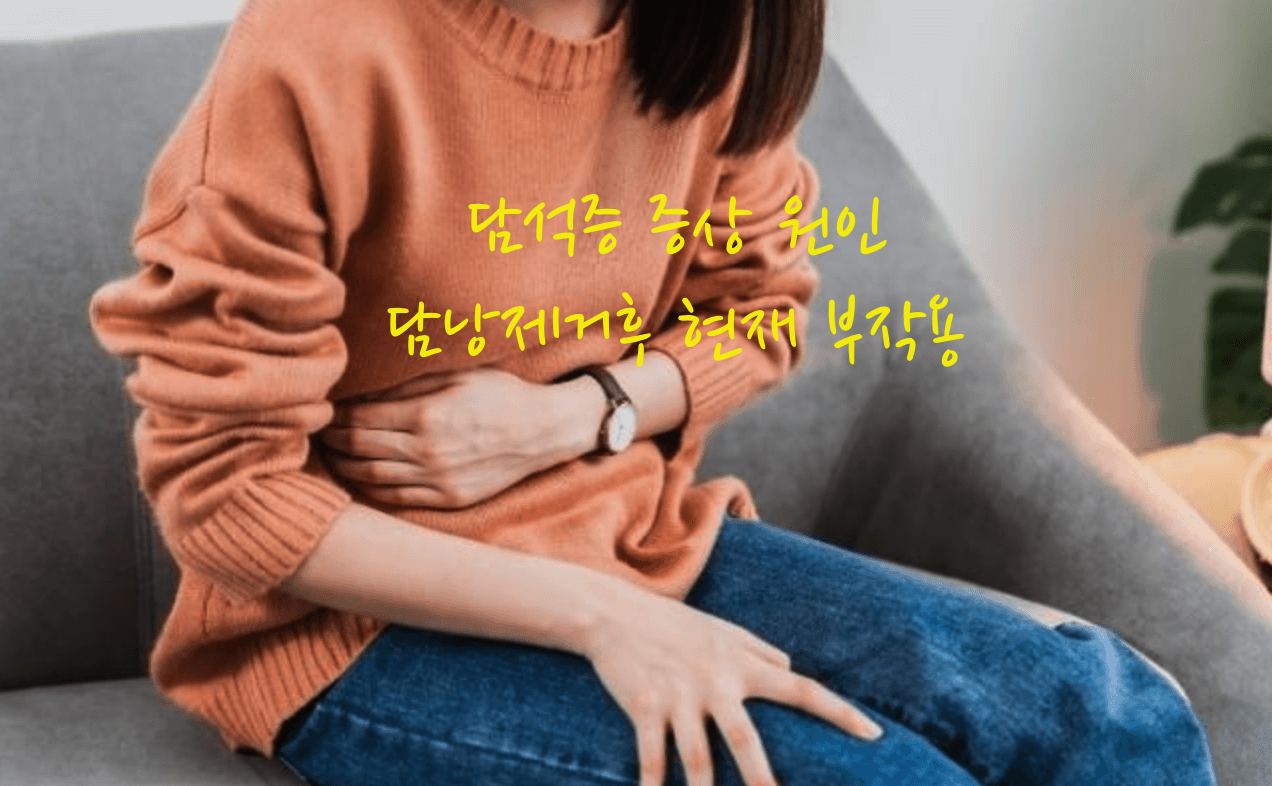 담석증 증상