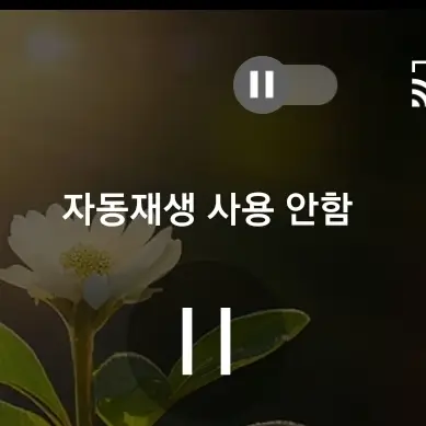 유튜브 자동재생