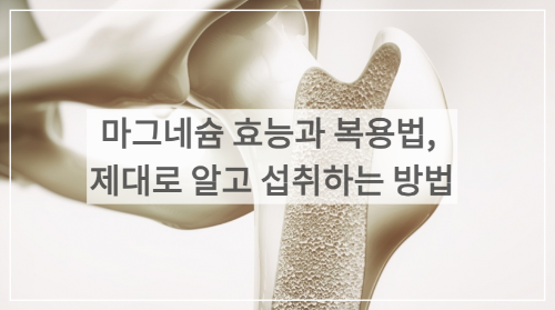 마그네슘 효능과 복용법, 부작용과 주의 사항 알고 먹기