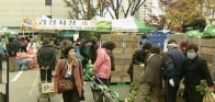 김장 채소 가격 할인 지원 40%까지
