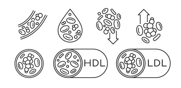 혈소판 수치가 높은이유