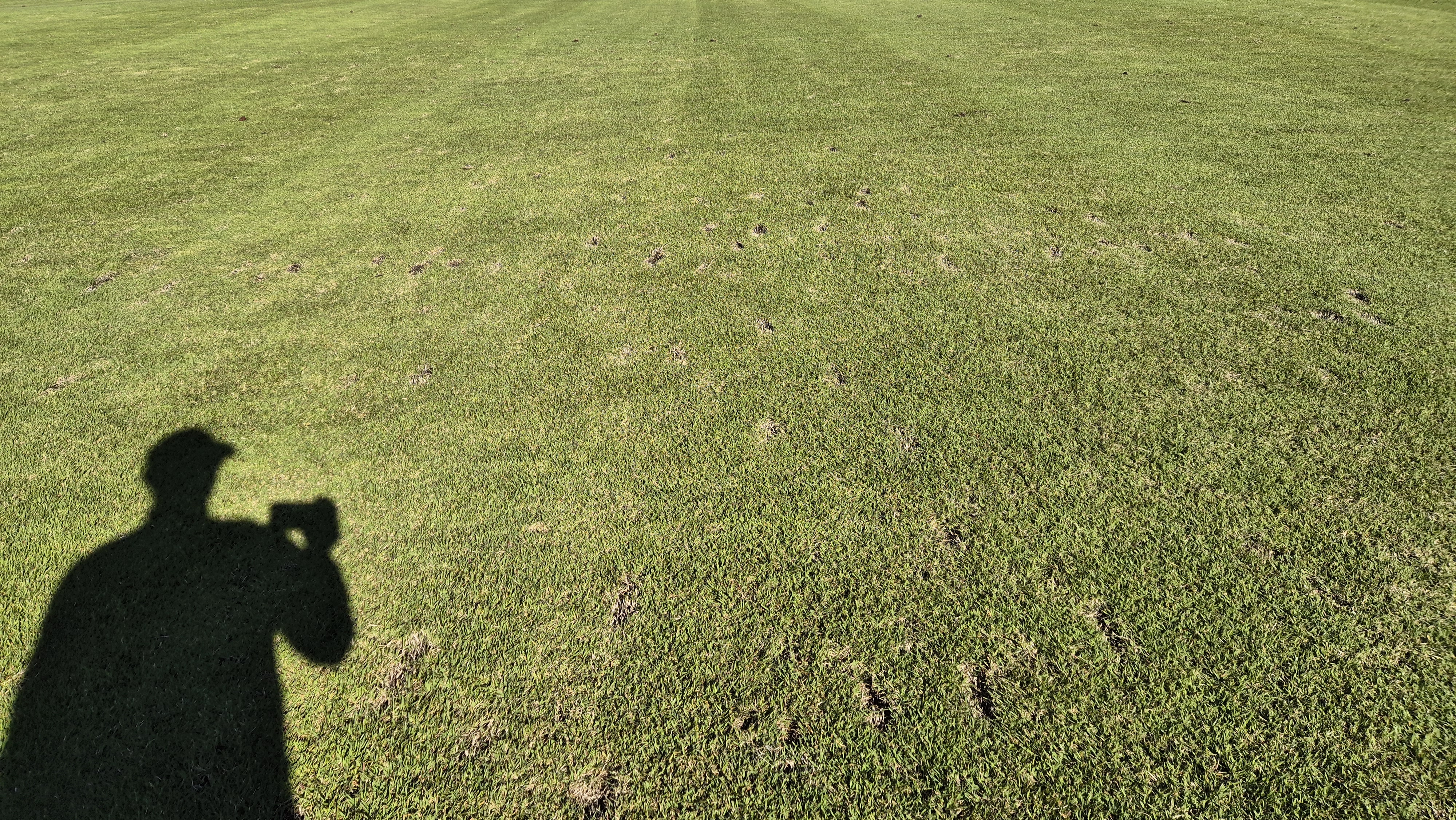 떼제베cc 동-북 코스 코스관리 상태