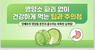 양배추즙의 효능