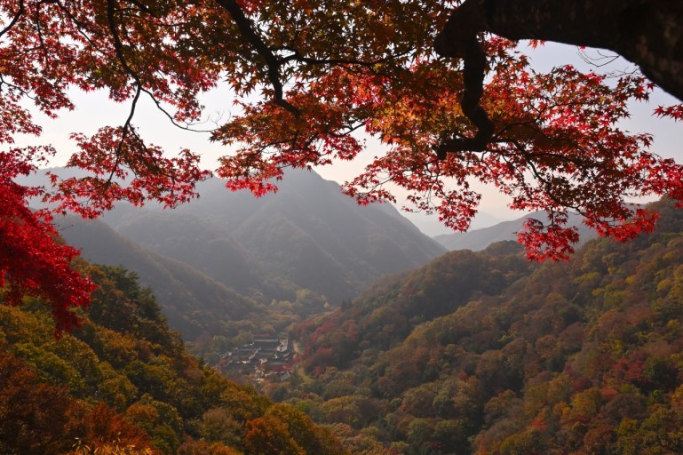 가을 단풍 여행지