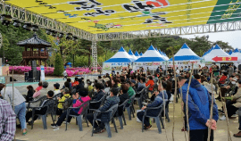 홍천 산나물 축제