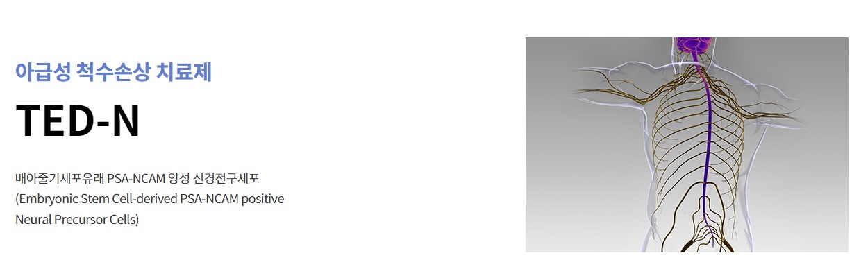 에스바이오메딕스 기업정보