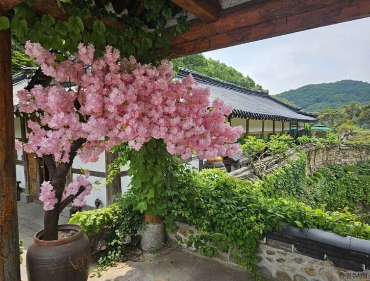 경기도 광주 가볼만한곳 베스트 10