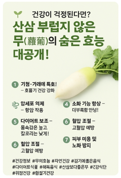 건강,산삼 부럽지 않은 무 효능,무 다이어트,무 해독,무 감기,천연 소화제