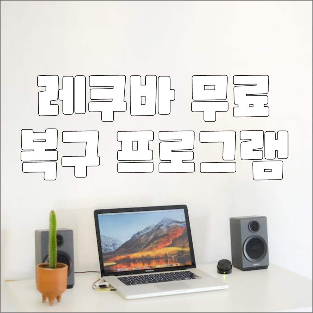 레쿠바_무료_복구_프로그랩