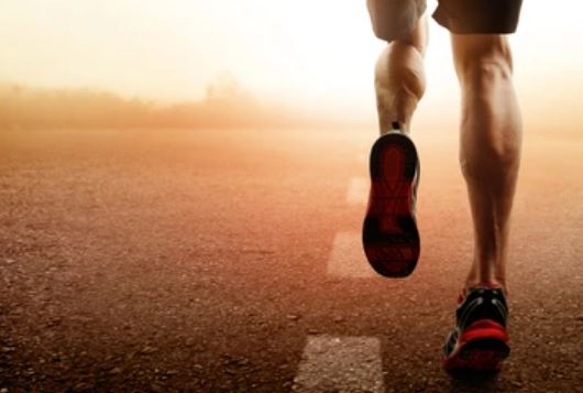 적절한 체중유지