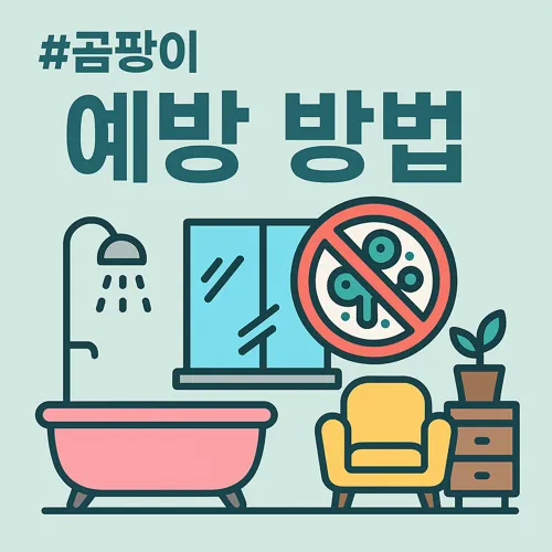 곰팡이 예방 방법 안내