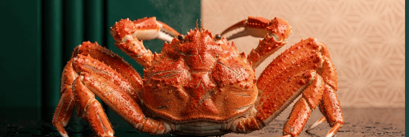 홍게 제철 알아보기