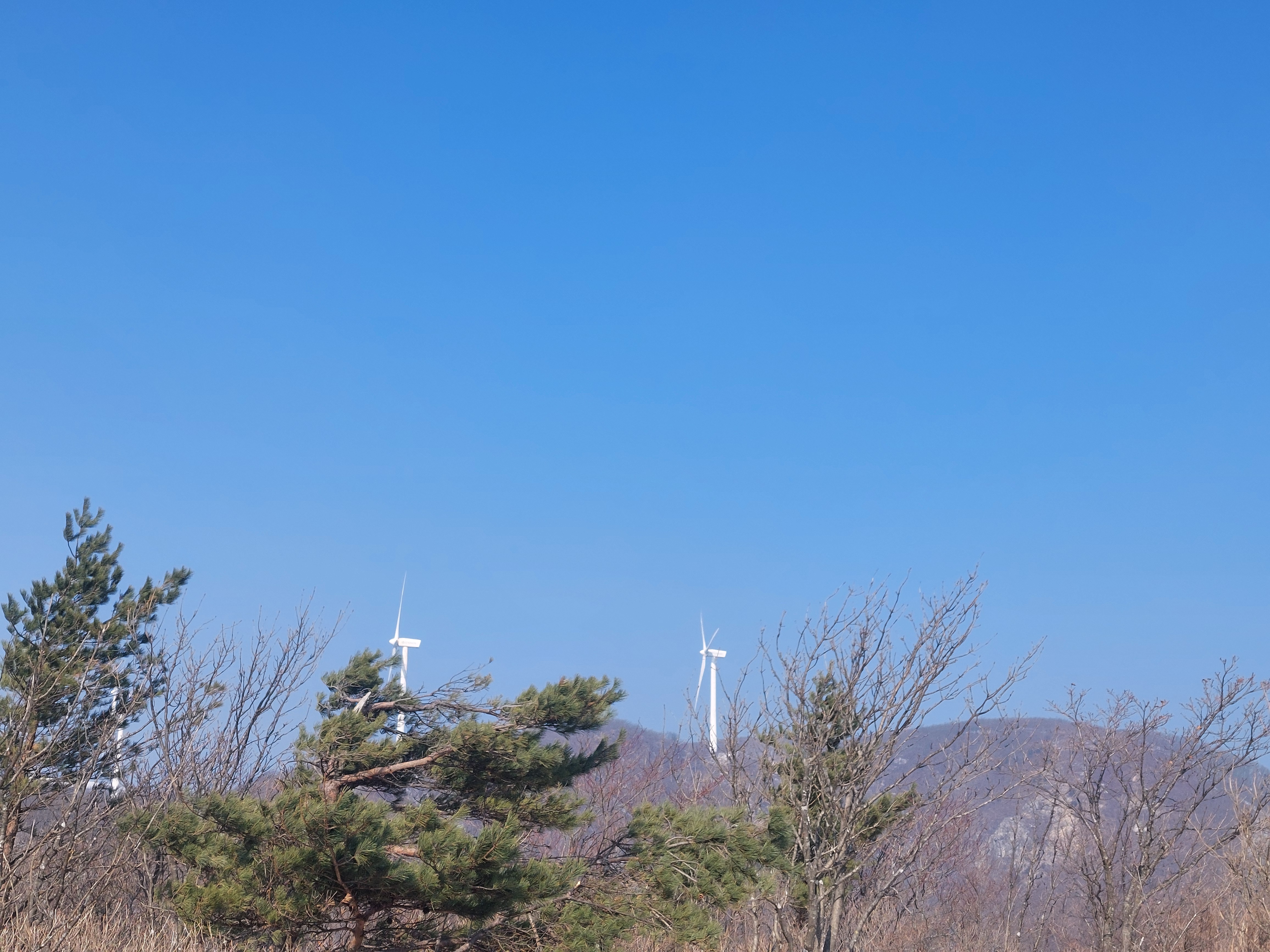 선자령