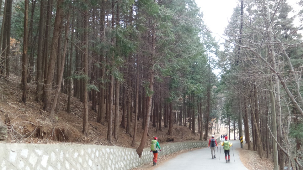 100대 명산 등산하기 열아홉번째 양산 천성산 부산·양산권에서 사계절 내내 사랑받는 산