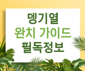 뎅기열 완치 가이드: 빠른 회복과 후유증 없는 일상 복귀를 위한 필독 정보