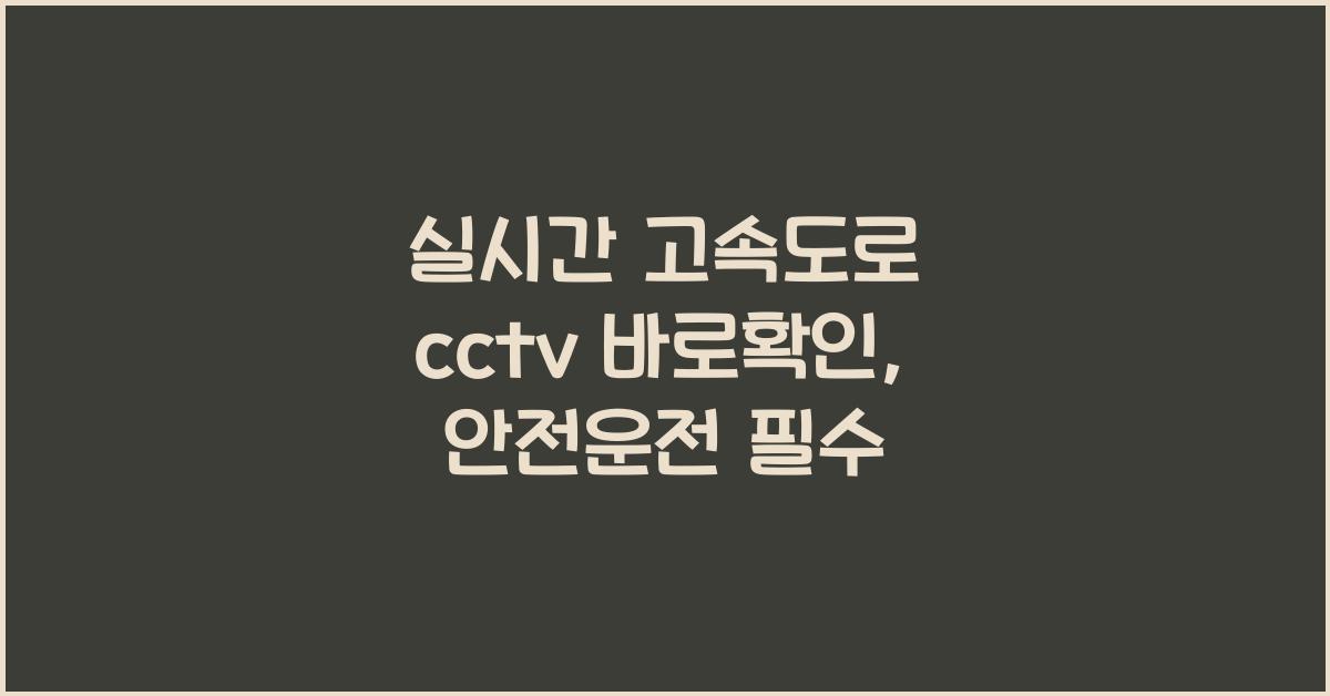 실시간 고속도로 cctv 바로확인