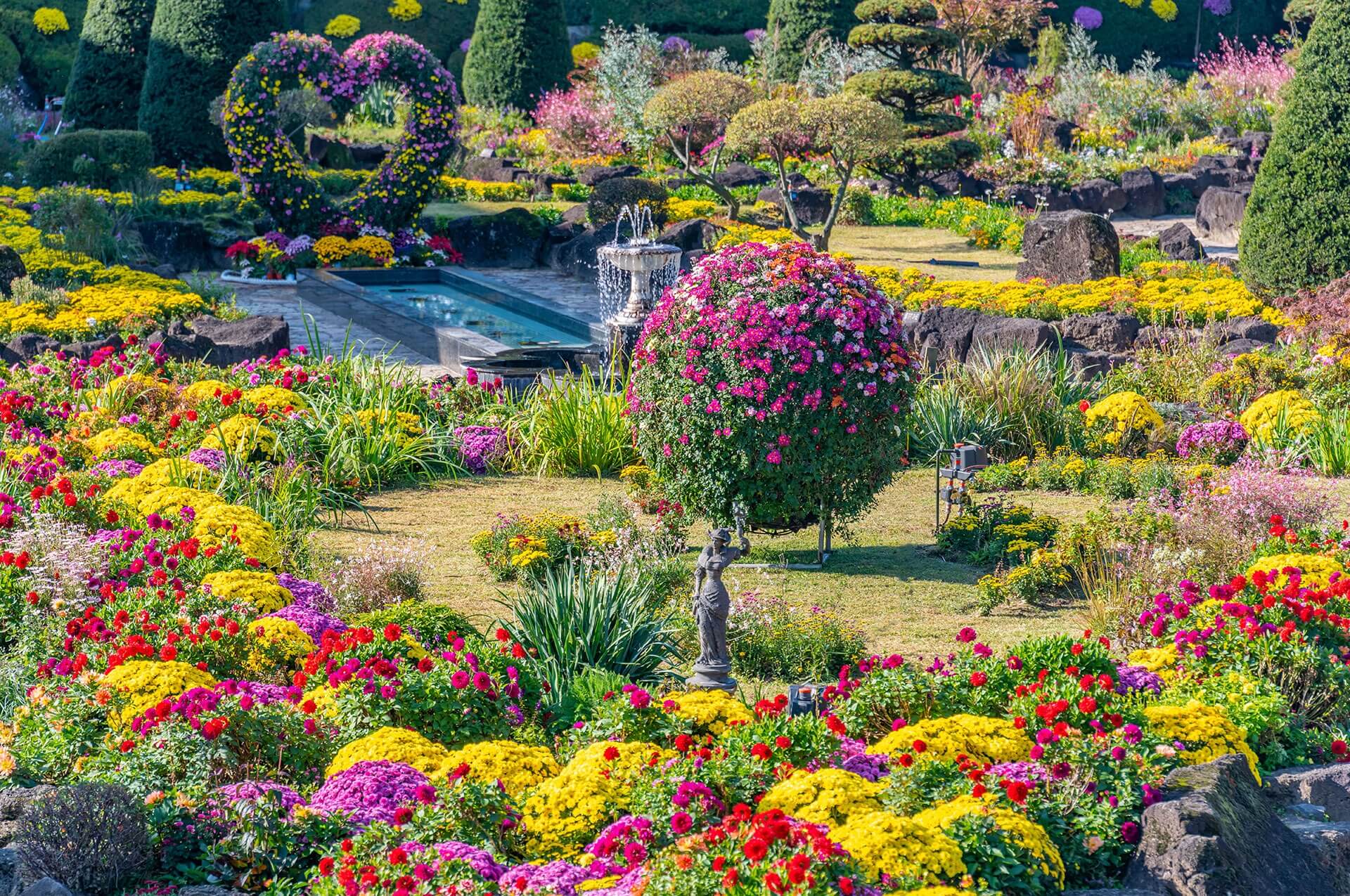 파주 벽초지 수목원 수국