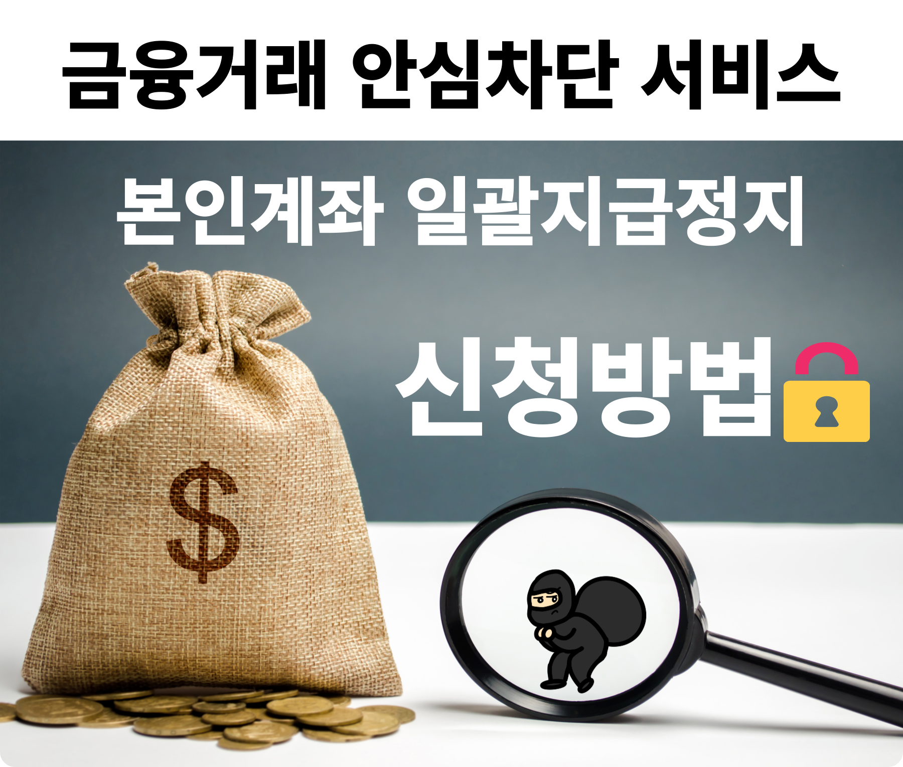 금융거래안심차단서비스