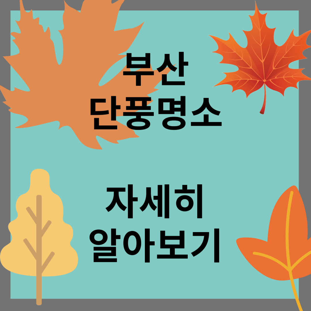 부산 단풍명소