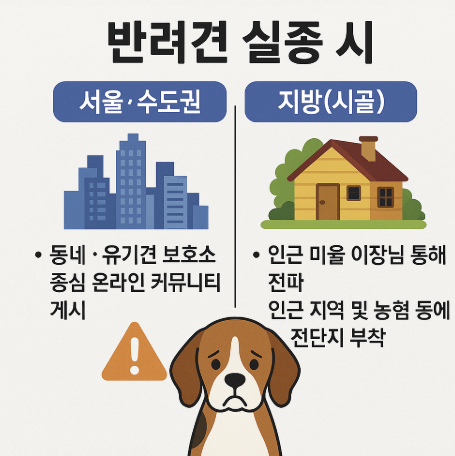 반려견 실종시, 서울 · 수도권 vs 지방(시골) 대처법 총정리 관련 사진