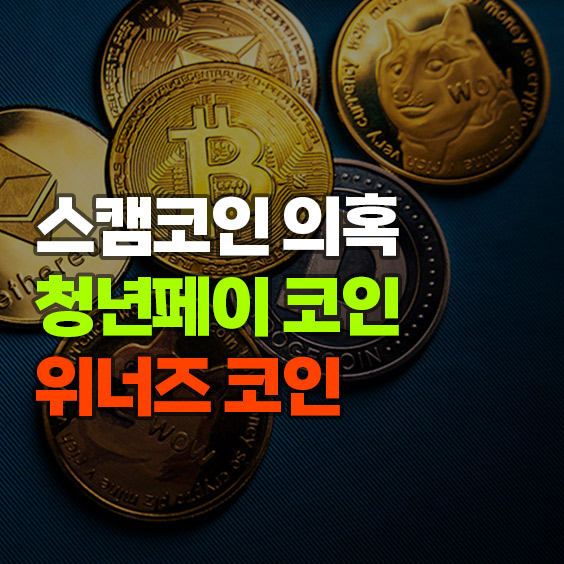 스캠코인 의혹, 청년페이 코인, 위너즈 코인 이란?